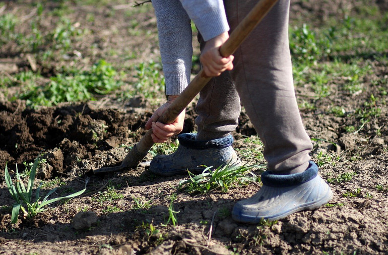 Digging garden
