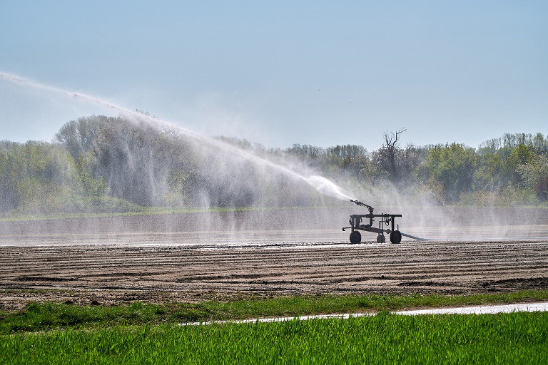 irrigation