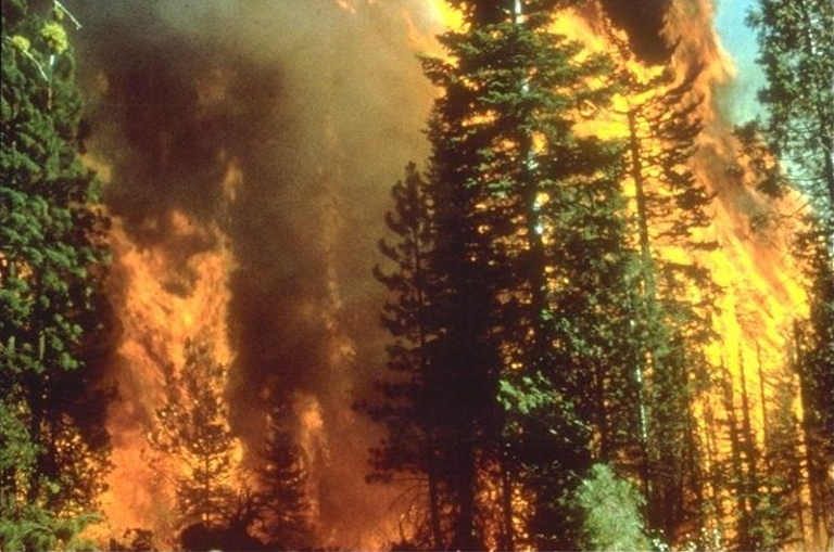 Wildfires in California