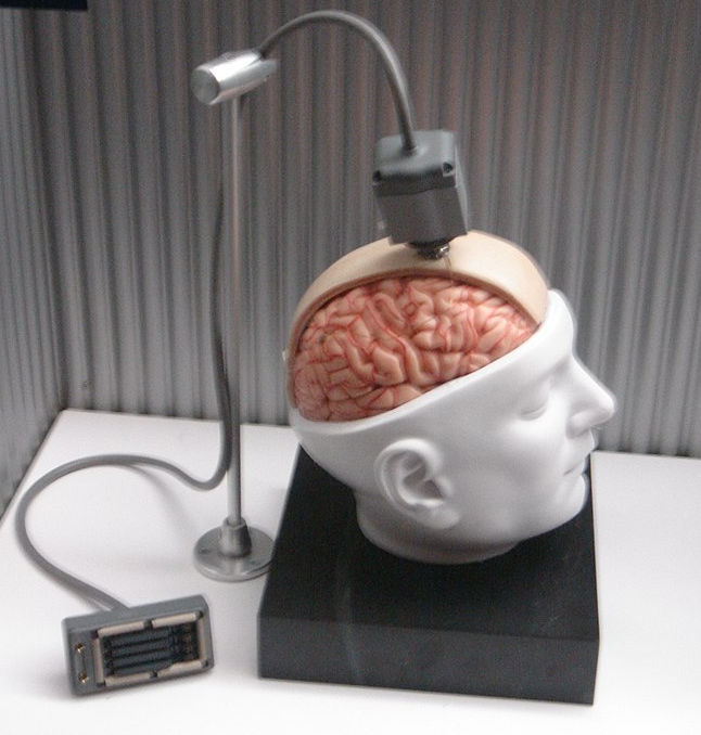 Dummy BrainGate interface at the Star Wars exhibition at the Boston Science Museum in October 2005. Photo by Paul Wicks. Via Wikimedia Commons.