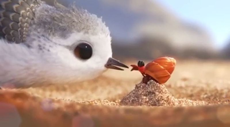 "Two lovely animals" Close-up of a bird and a snail. (2017). Photo by Bgada9.