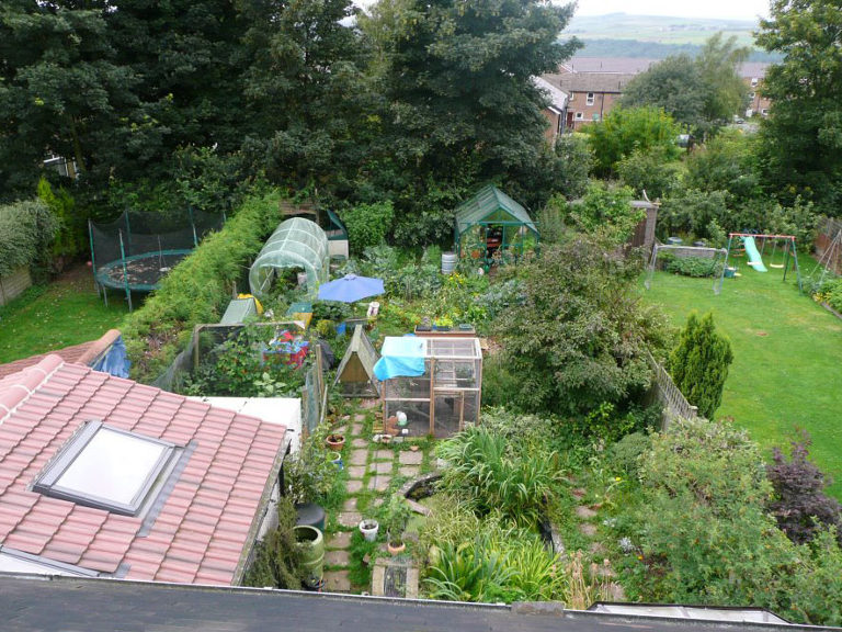 permaculture garden