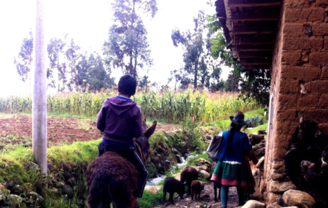 Small-scale farmers buen vivir