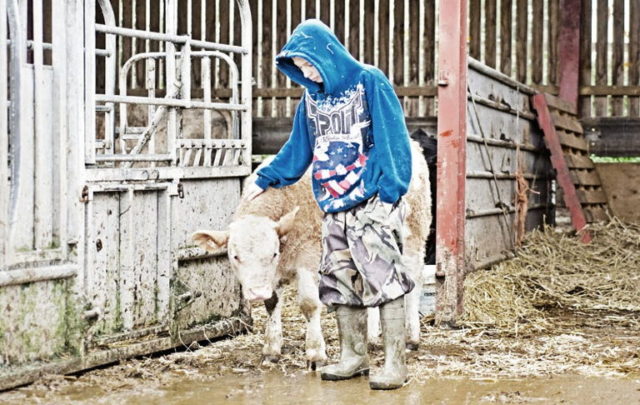 social farming