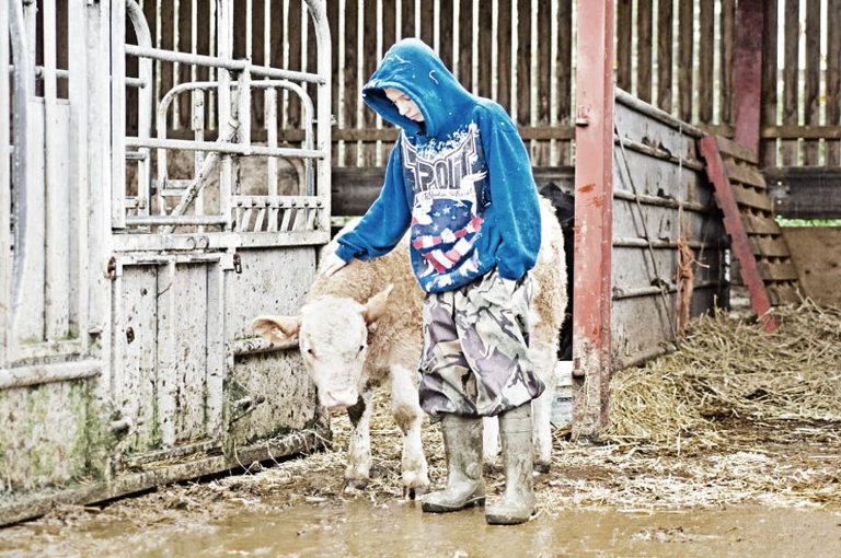 social farming