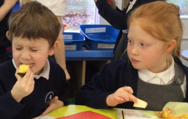 School children tasting veg