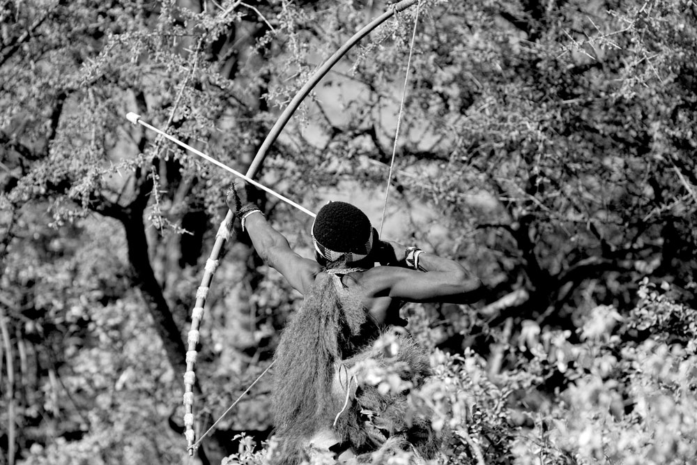Kalahari hunter