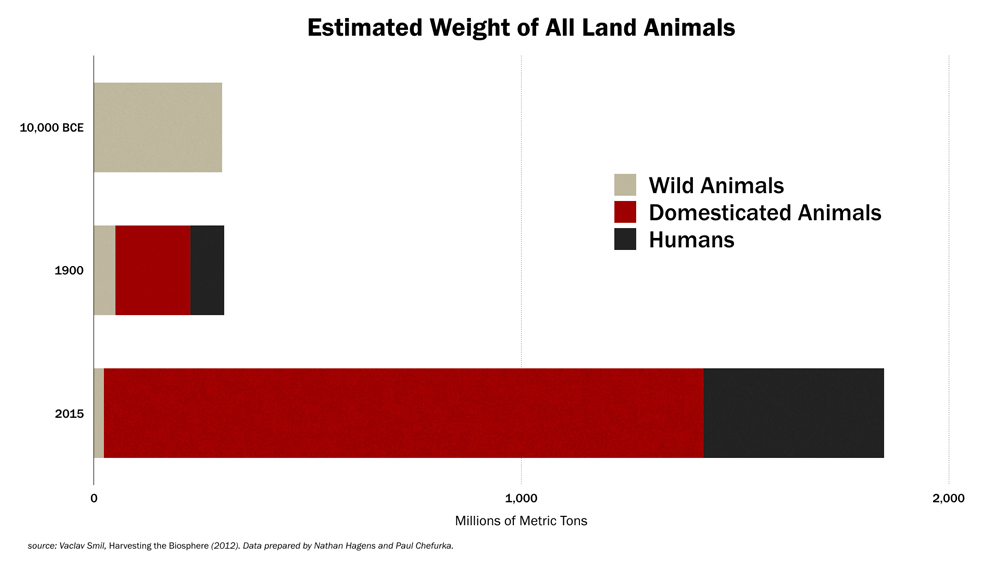 People land biomass chart