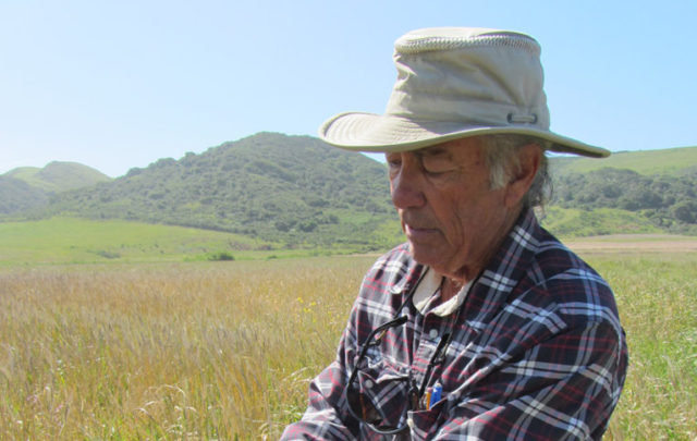 Organic farm