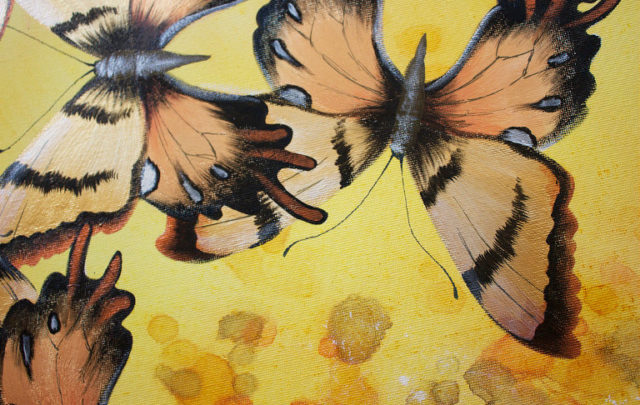 butterflies
