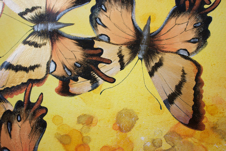 butterflies