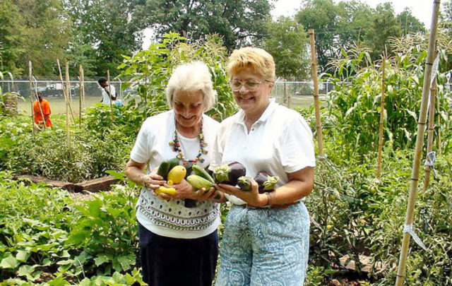 community gardens