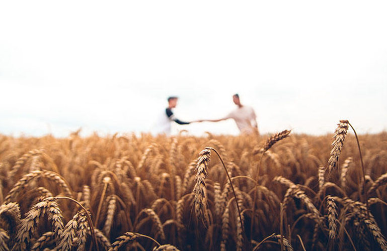 Farming