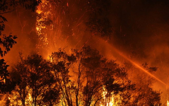 wildfire