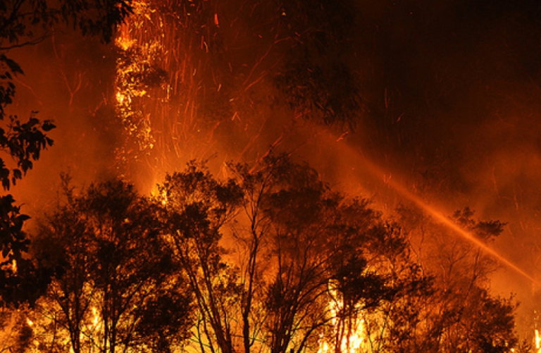 wildfire