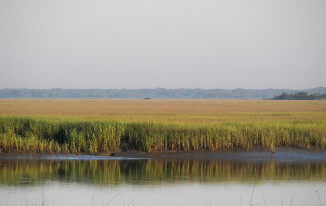 Hunting Island