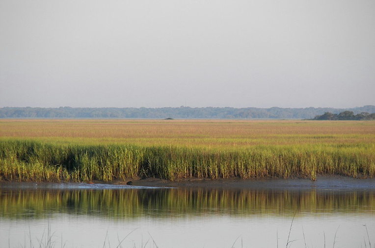 Hunting Island
