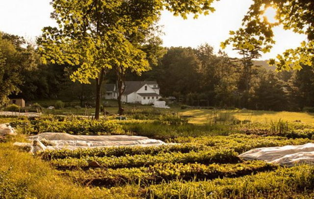 Longhaul Farm