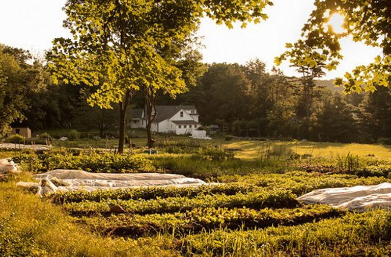 Longhaul Farm