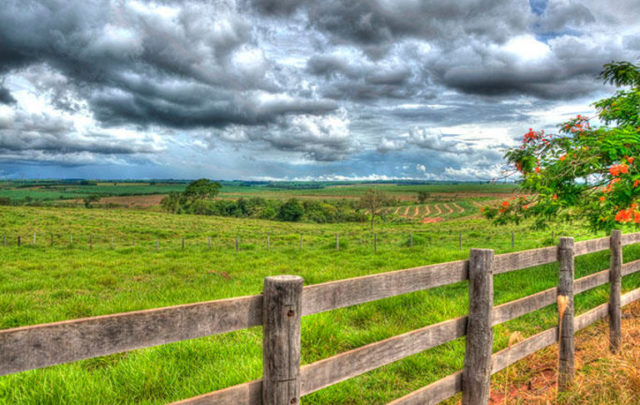 Farm