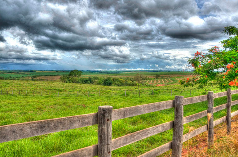 Farm