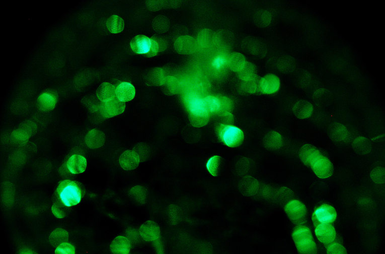 Green energy