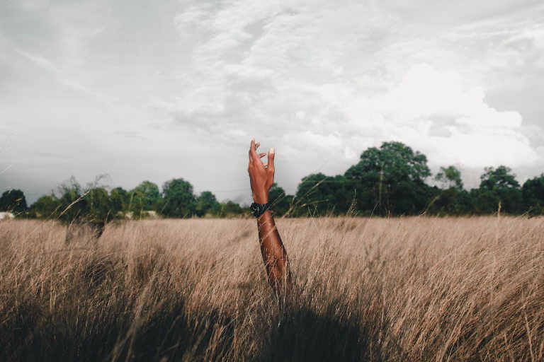 hand