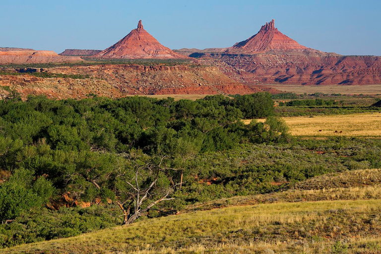 Bears Ears