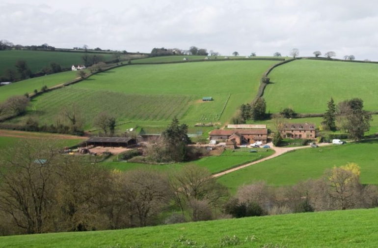 Stream Farm