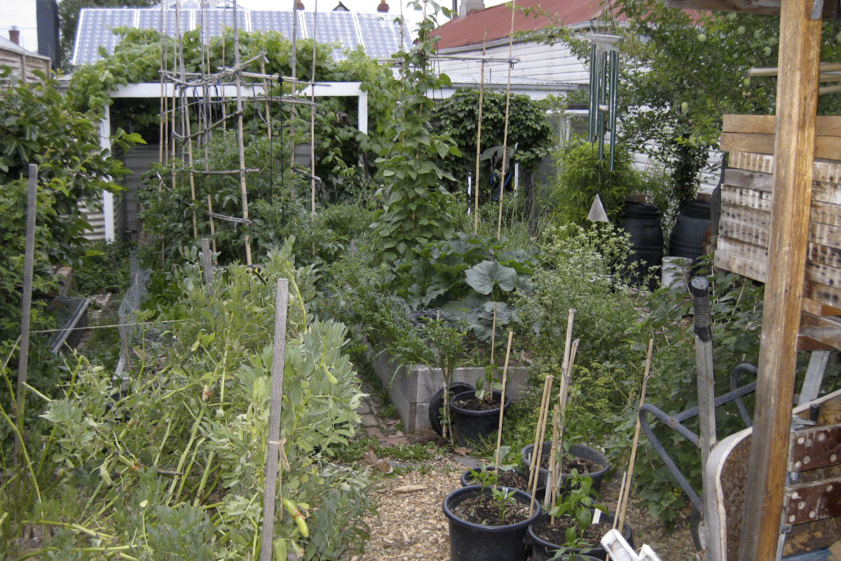 suburban garden