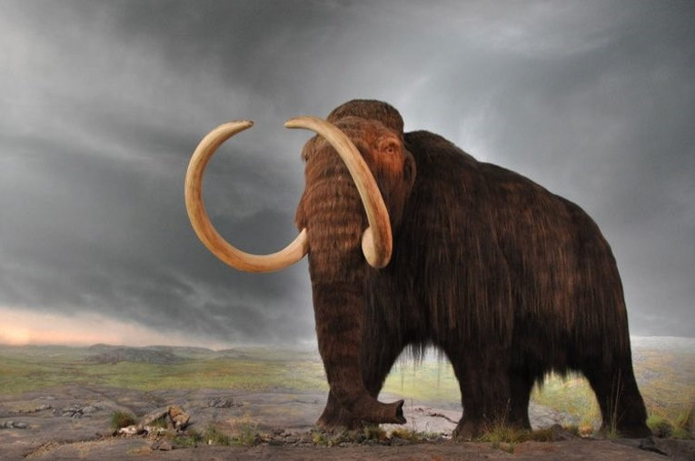 mastodon