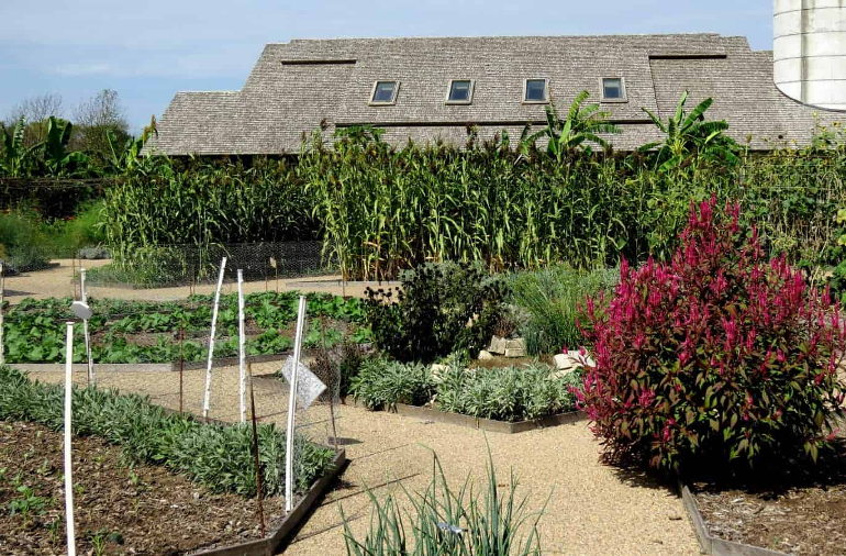 Powell Gardens