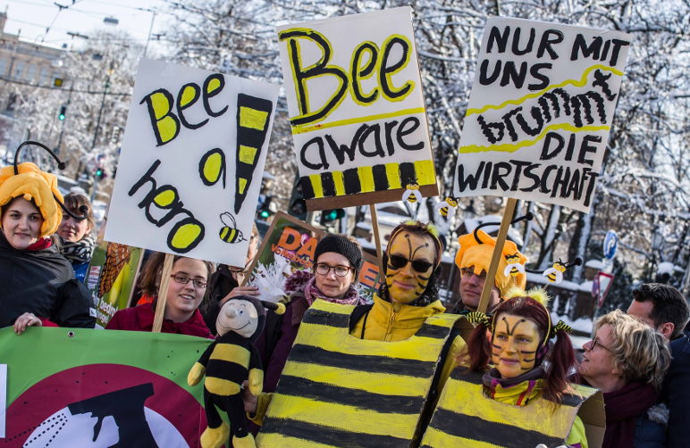 Bee protest