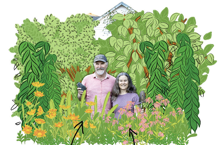 soil health