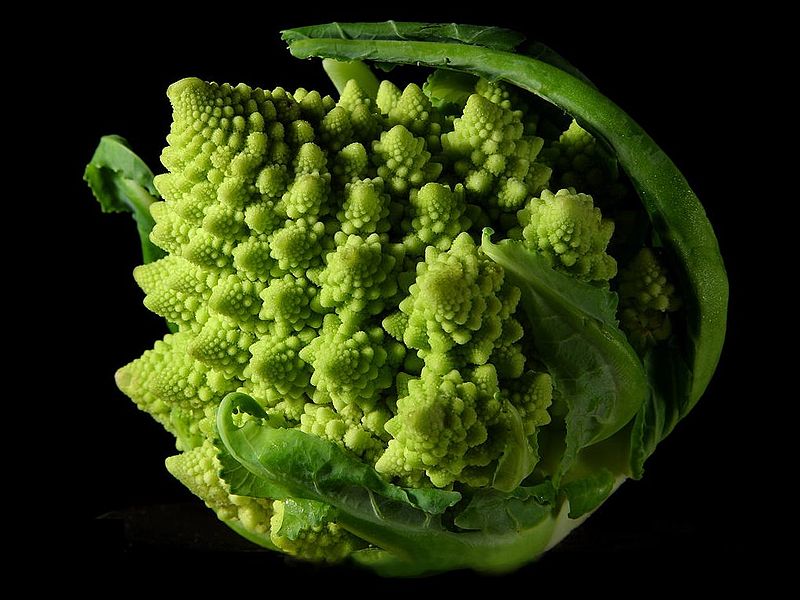 Fractal shape form of a Romanesco broccoli (2004).
