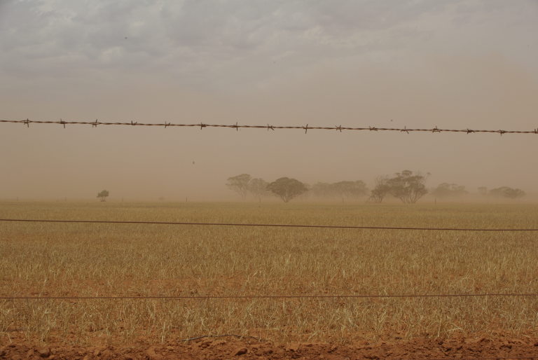Dry Australian landscape