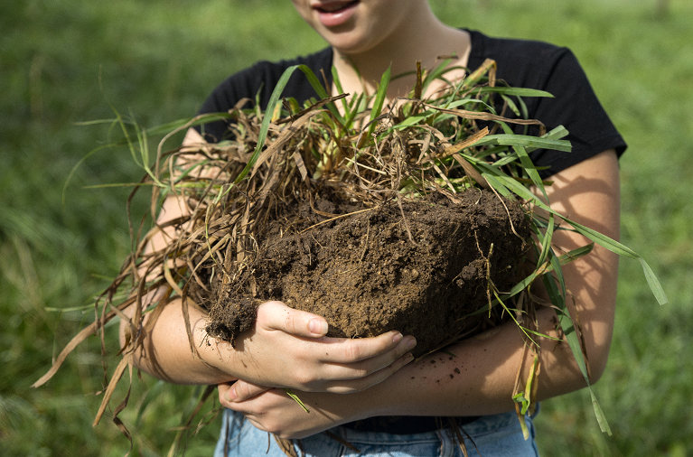 regenerative farming