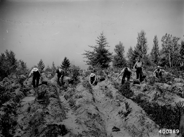Civilian Conservation Corp
