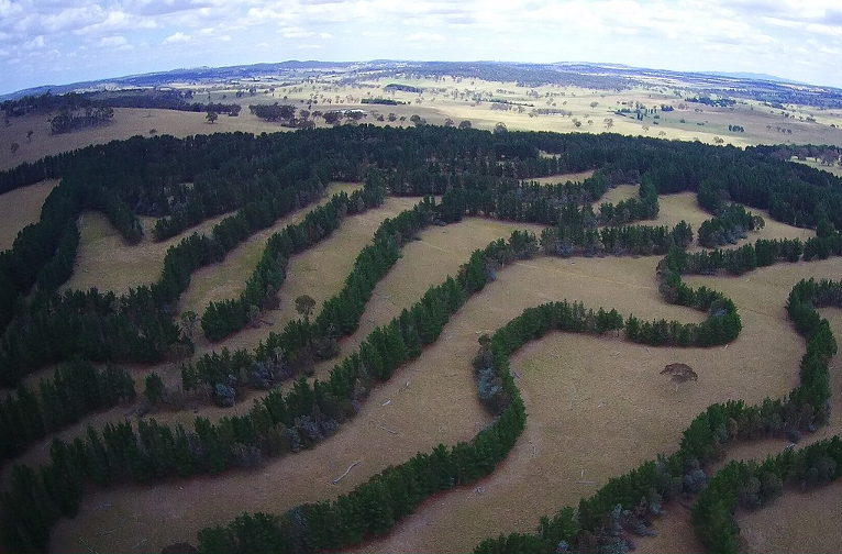 regenerative farming