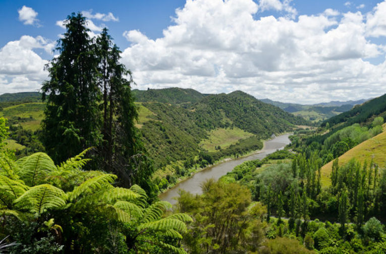 rights of nature