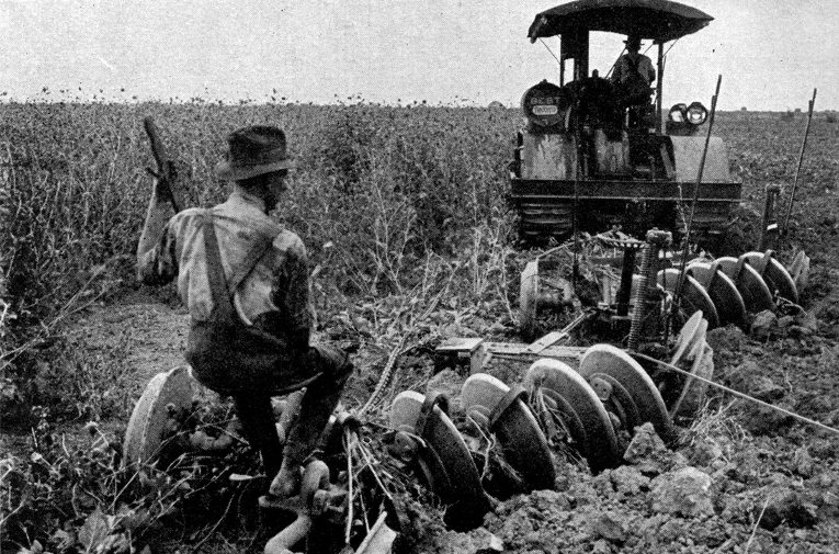 American agriculture