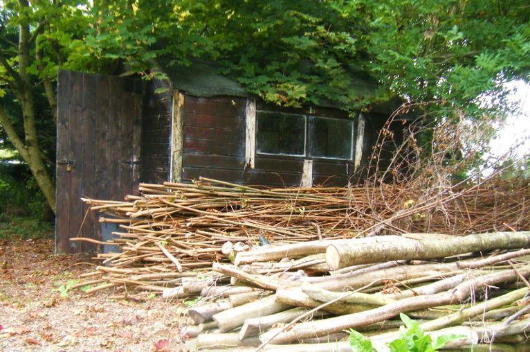 coppicing