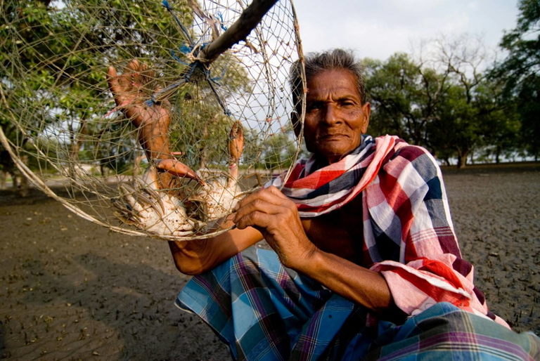 The International Day of Peasant's Struggle