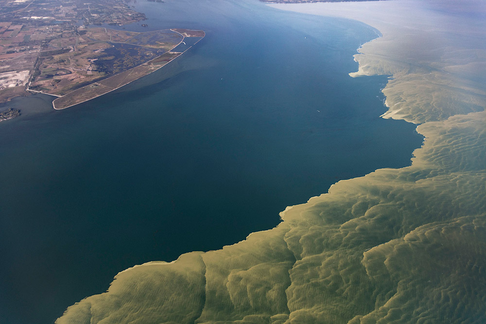 Lake Erie algal bloom