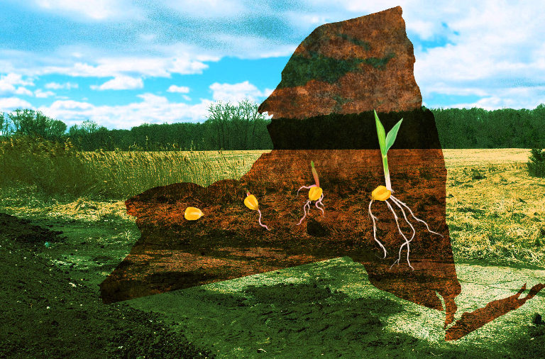 carbon-farming