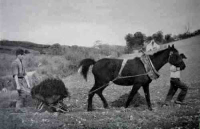 Children at chores, courtesy of Irishhistorylinks.com. 
