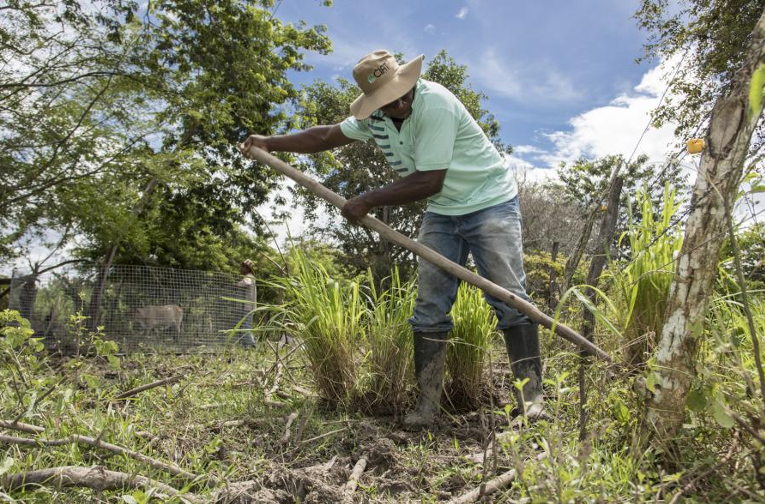 Agroecology