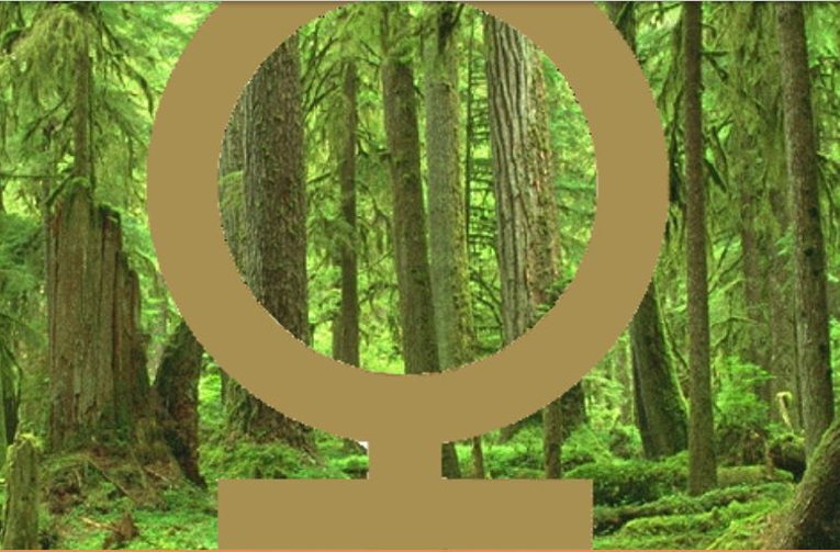 ecofeminism