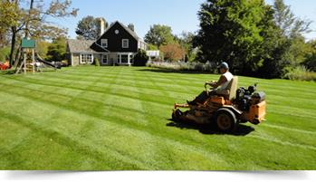 mowed lawn