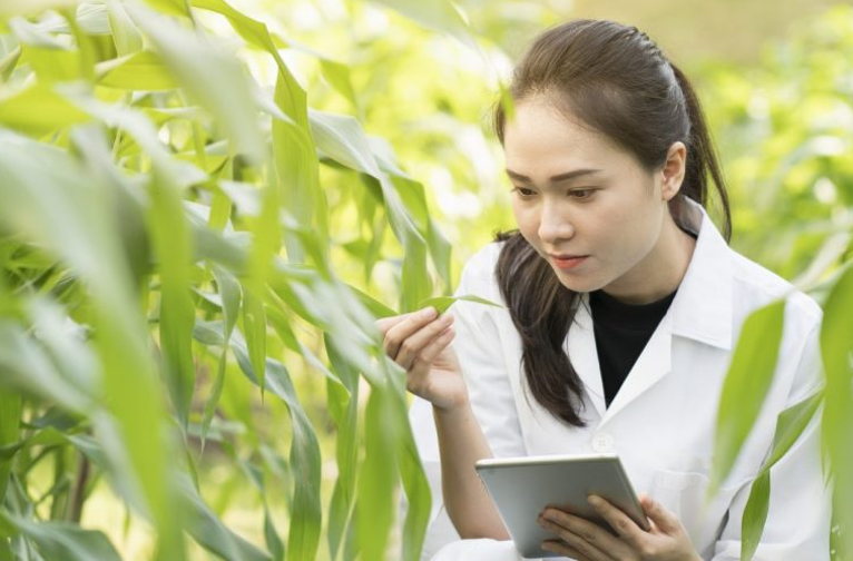 GM crop scientist